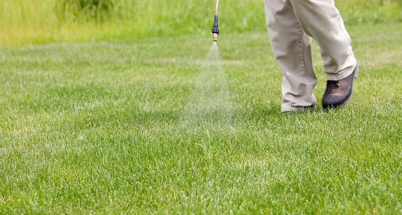 The Best Crabgrass Killer for Your Lawn - Porched Living